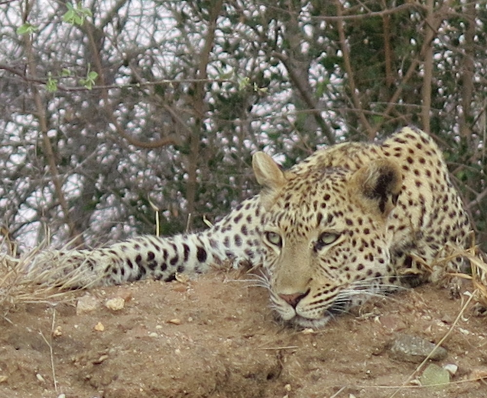 DSC_0488small